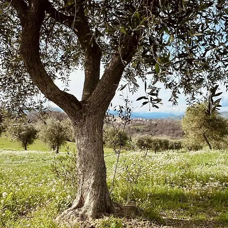 Casa Bozzo, 'stalla' Апартаменты Case Selva Grande