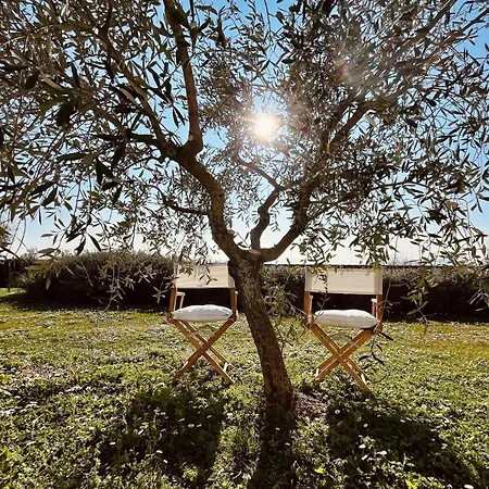 Casa Bozzo, 'stalla' Case Selva Grande