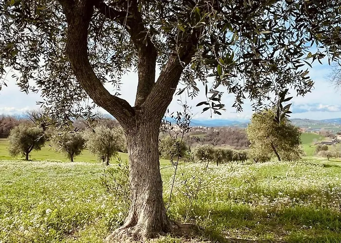 Casa Bozzo, 'stalla' Lägenhet Case Selva Grande